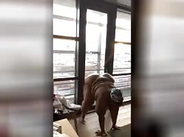 Twerking para la ciudad