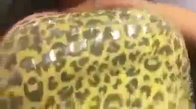 Perra masturbándose
