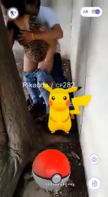 Mira lo que encontré buscando un Pokémon